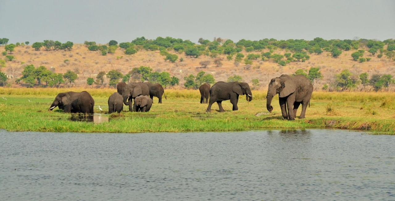Cresta Mowana Safari Resort & Spa Касане Экстерьер фото